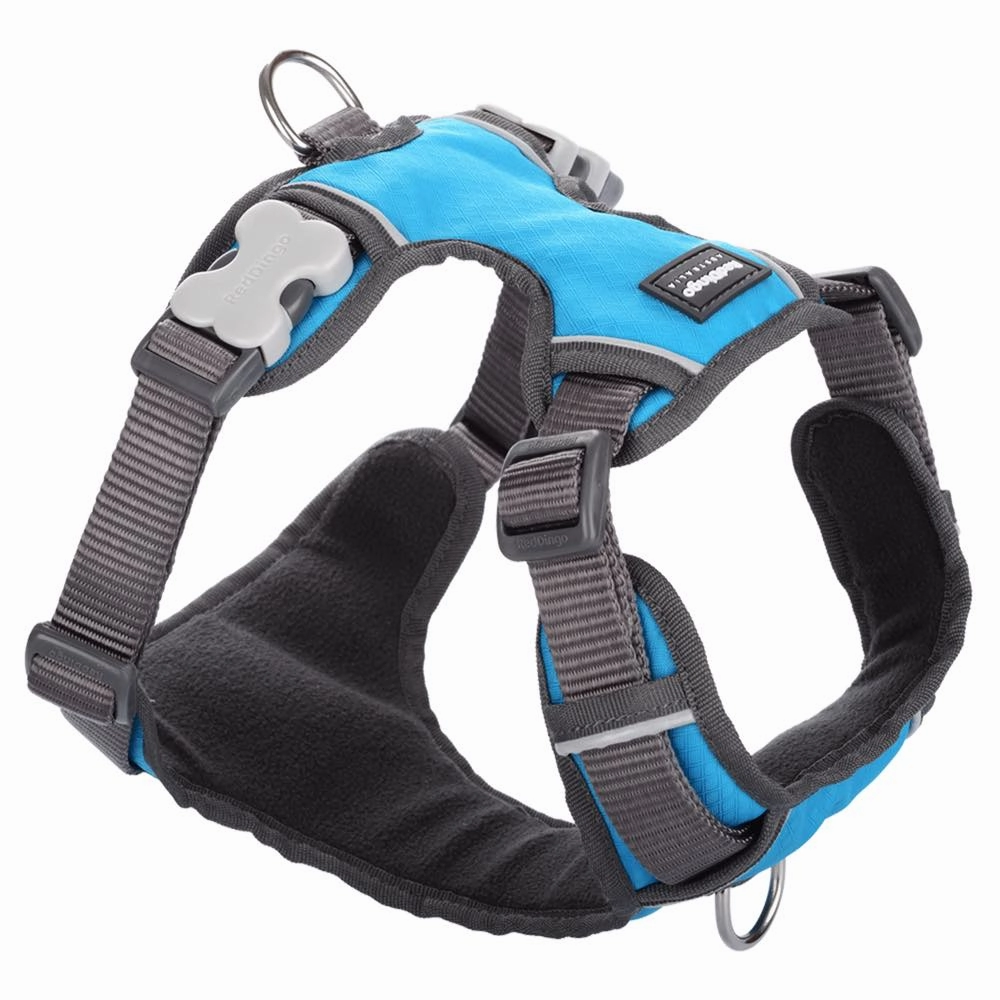 Red Dingo Padded Dog Harness (Medium)