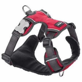 Red Dingo Padded Dog Harness (Medium) grain free dog food natural dog biscuits high protein dog food dog food pack dog meat sticks