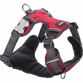 Red Dingo Padded Harness - Red dog leash harness set dog leash clip rope dog leash retractable leash