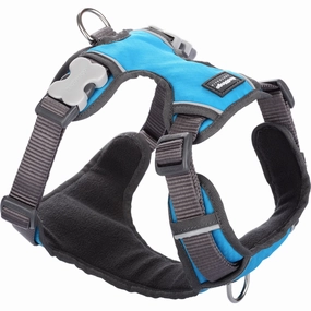 Red Dingo Padded Harness - Turquoise dog leash harness set dog leash clip rope dog leash retractable leash