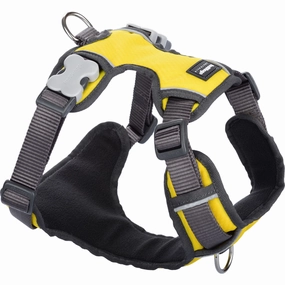 Red Dingo Padded Harness - Yellow dog leash harness set dog leash clip rope dog leash retractable leash