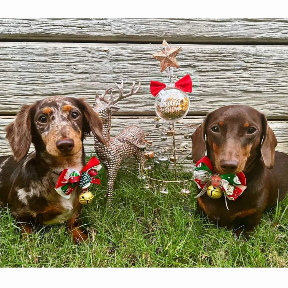 Reindeer Bow Knot Christmas Collar