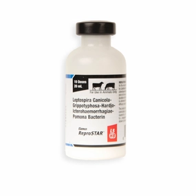 ReproSTAR L5 HB Cattle Vaccine sheep feed sheep mineral sheep hay sheep pellets sheep salt block