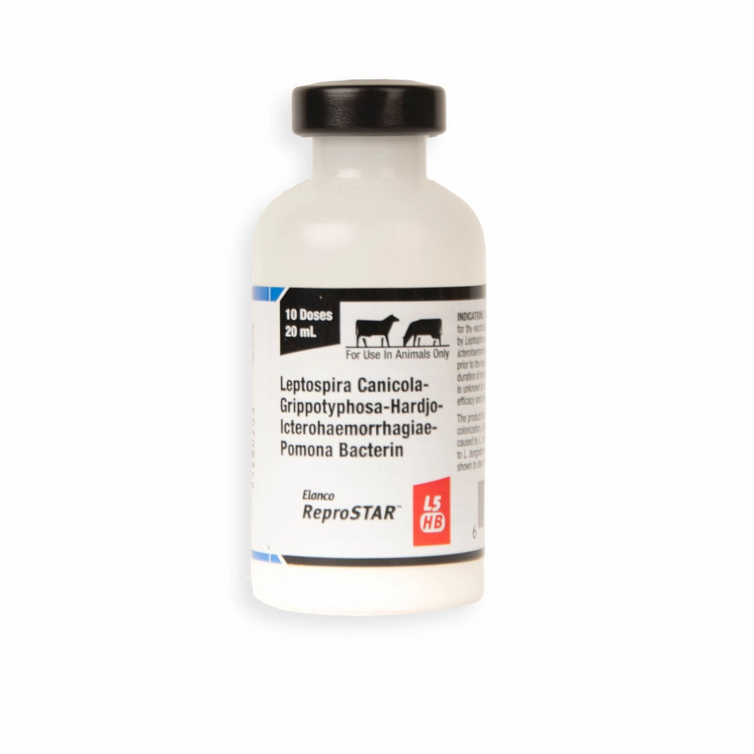 ReproSTAR L5 HB Cattle Vaccine sheep feed sheep mineral sheep hay sheep pellets sheep salt block