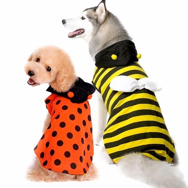 Reversible Ladybug/Bumble Bee Dog Costume treats for dogs dog biscuits dog reward treats organic dog snacks natural dog biscuits