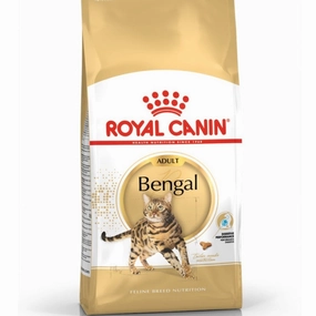 Royal Canin Bengal Adult Dry Cat Food 2kg kitten food wet kitten food kitten milk kitten treats grain free kitten food