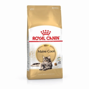 Royal Canin Maine Coon Adult Dry Cat Food 4kg kitten food wet kitten food kitten milk kitten treats grain free kitten food