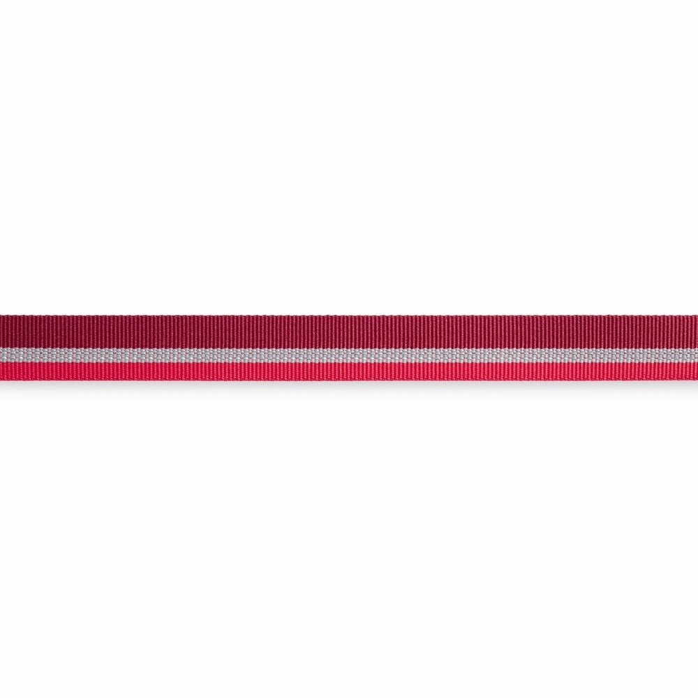 Ruffwear Crag Reflective Multi-Function Dog Leash (Cindercone Red)