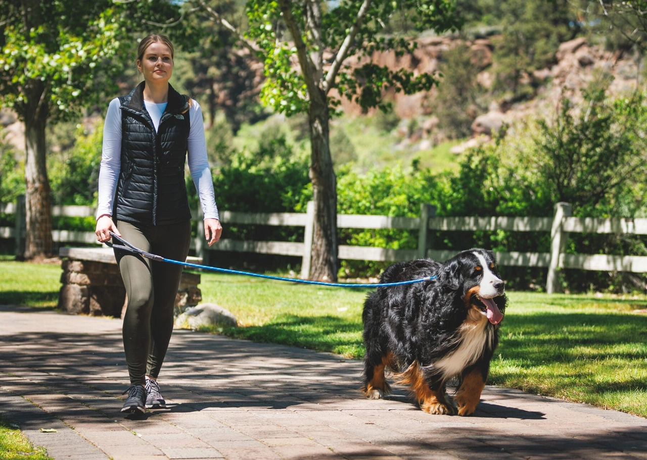 Ruffwear Dog Leash: Just-a-Cinch 2024