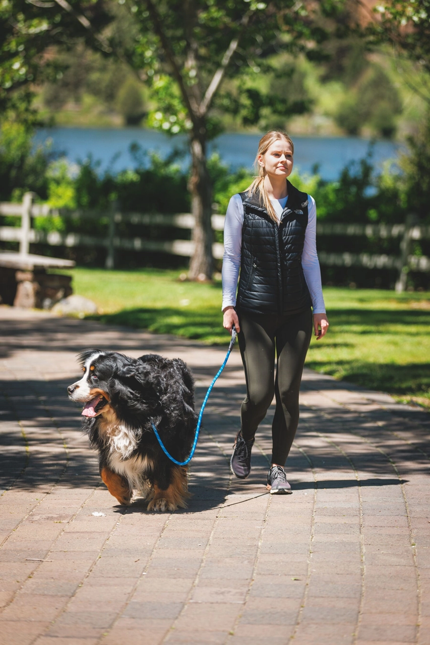 Ruffwear Dog Leash: Just-a-Cinch 2024