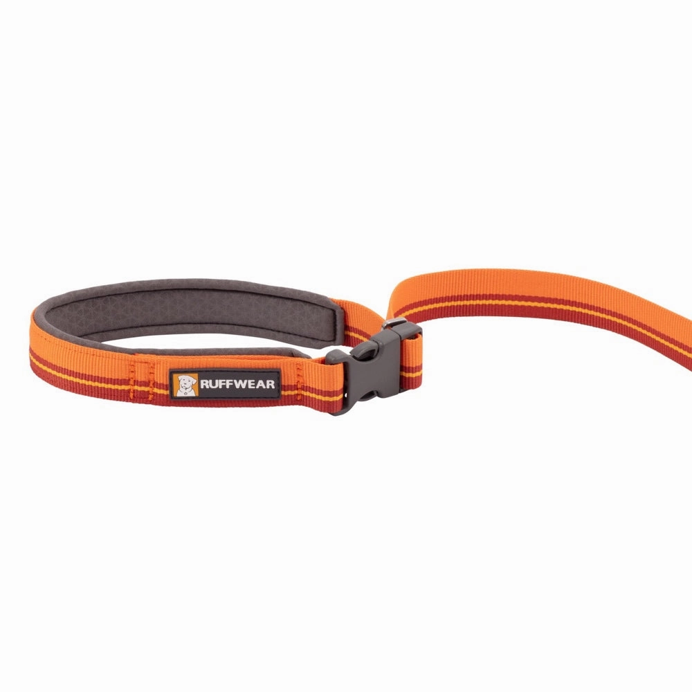 Ruffwear Flat Out Patterned Multi-Function Dog Leash (Autumn Horizon)