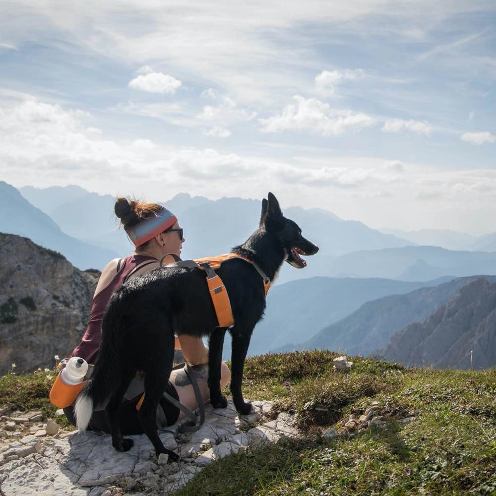 Ruffwear Omnijore Dog Joring Harness System