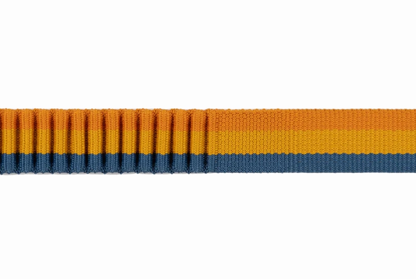 Ruffwear Roamer Bungee Dog Leash