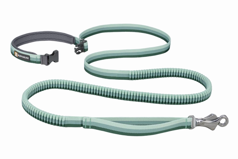 Ruffwear Roamer Bungee Dog Leash