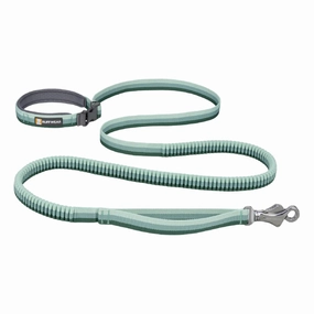 Ruffwear Roamer Multi-Function Bungee Dog Leash (River Rock Green) puppy food dog jerky treats dog dental treats dog chicken strips organic dog food