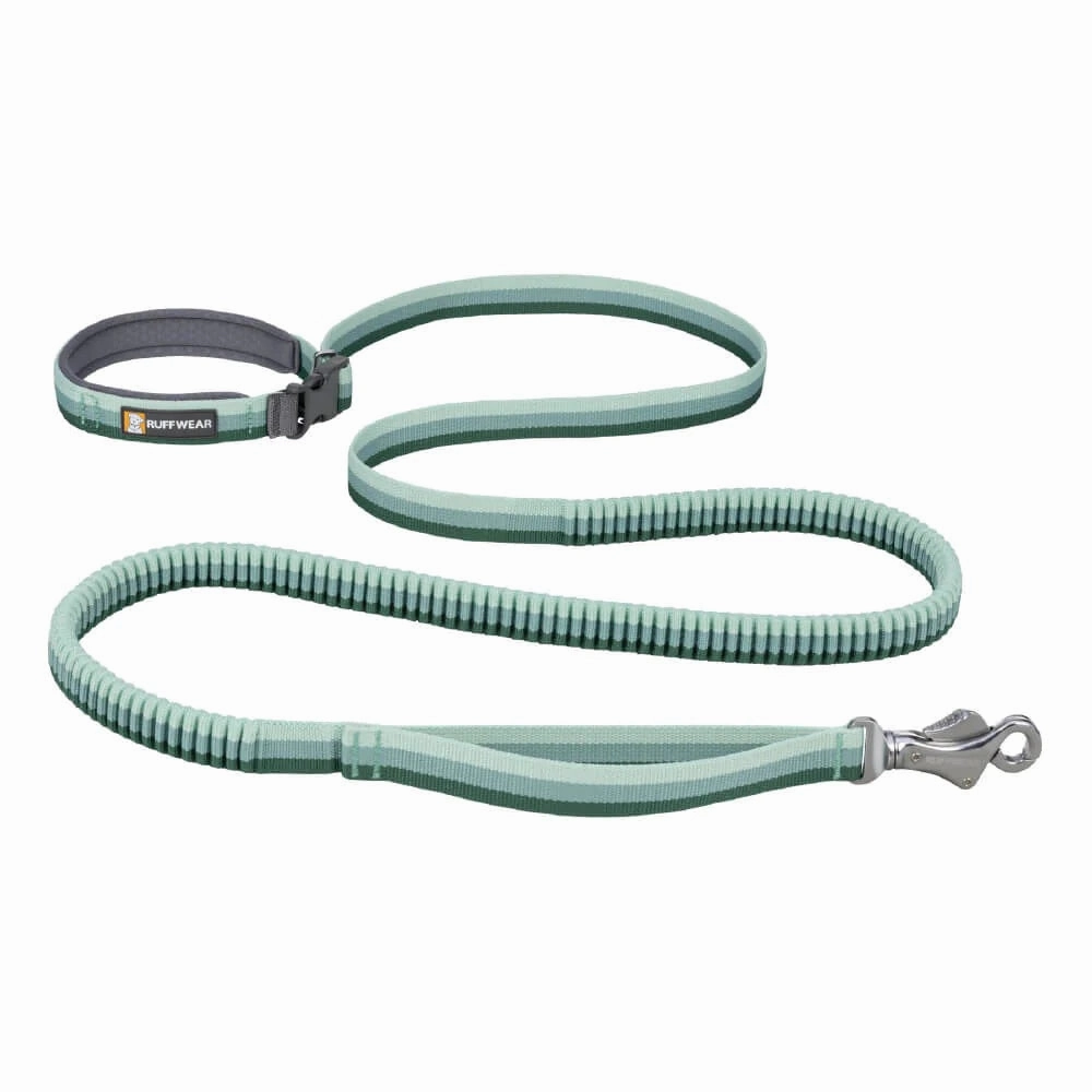 Ruffwear Roamer Multi-Function Bungee Dog Leash (River Rock Green) puppy food dog jerky treats dog dental treats dog chicken strips organic dog food