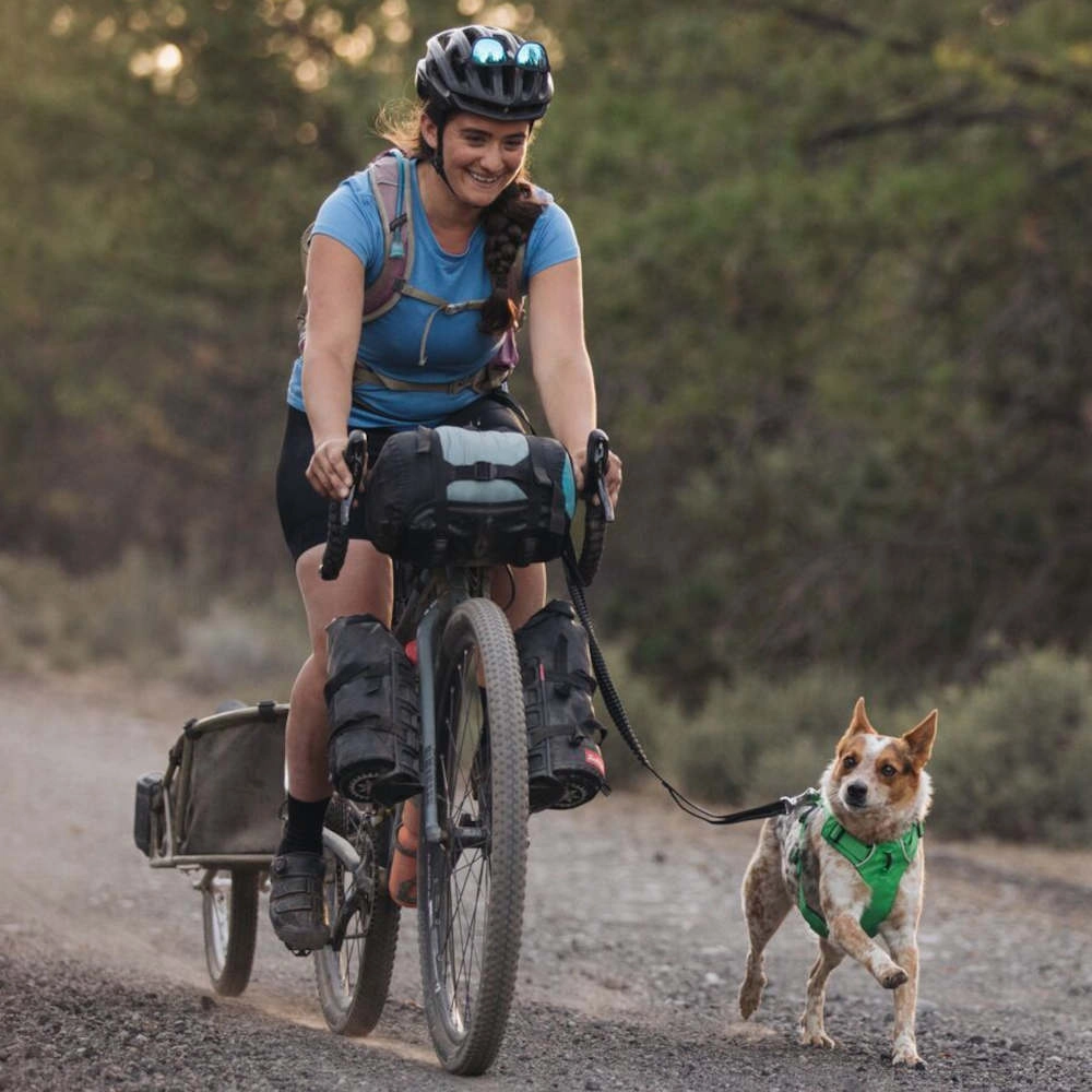 Ruffwear Roamer Multi-Function Bungee Dog Leash (River Rock Green)