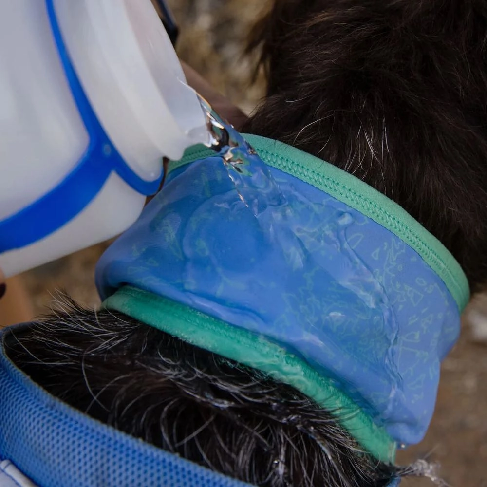 Ruffwear Swamp Cooler Reversible Cooling Dog Neck Gaiter (Aurora Teal/Heliotrope Purple)