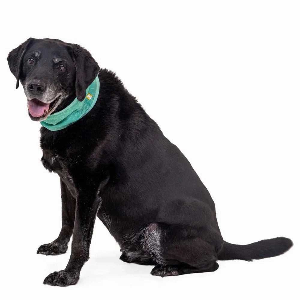 Ruffwear Swamp Cooler Reversible Cooling Dog Neck Gaiter (Aurora Teal/Heliotrope Purple)