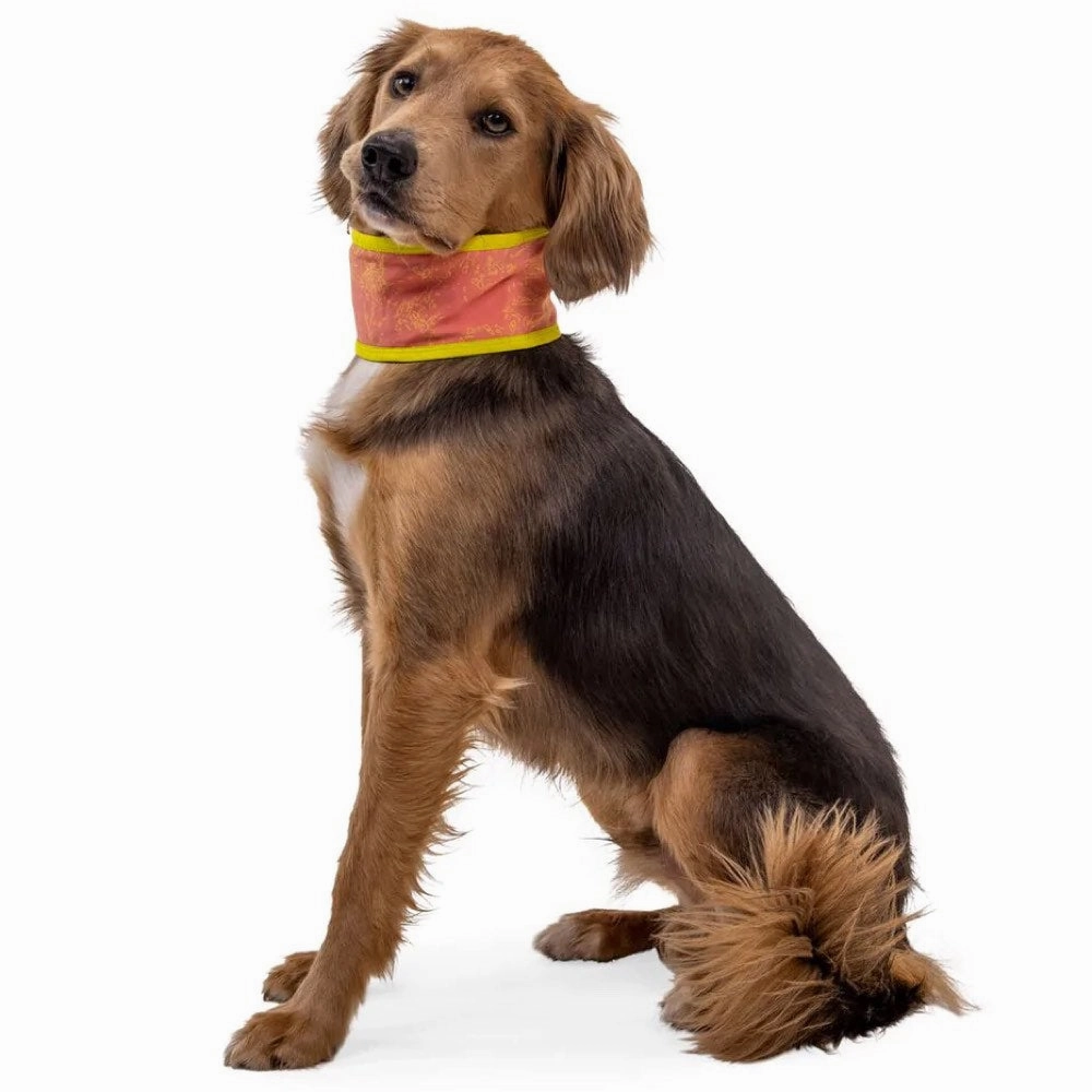 Ruffwear Swamp Cooler Reversible Cooling Dog Neck Gaiter (Salmon Pink/Blue Mist)