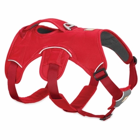 Ruffwear Web Master Secure Multi-Function Handled Dog Harness (Red Currant) puppy food dog jerky treats dog dental treats dog chicken strips organic dog food