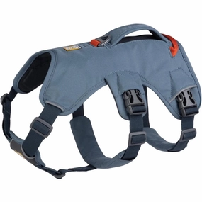 Ruffwear Web Master Secure Multi-Function Handled Dog Harness (Slate Blue) grain free dog food natural dog biscuits high protein dog food dog food pack dog meat sticks