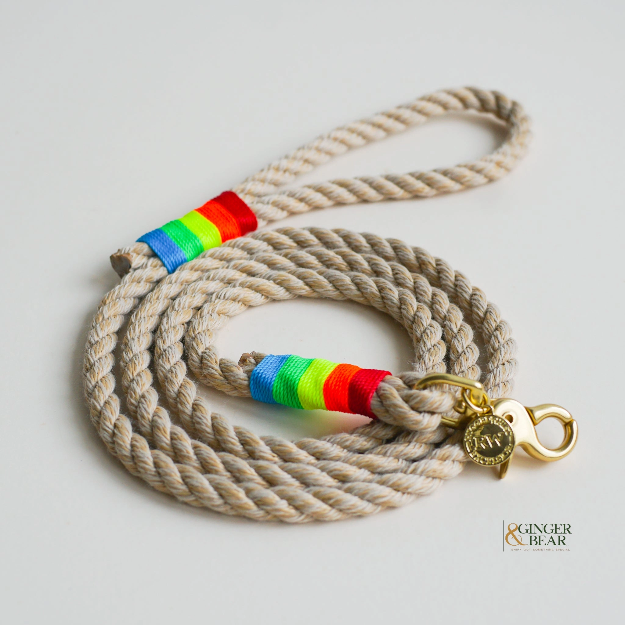 Rugged Hudson Dog Leash: Rainbow on Natural rope