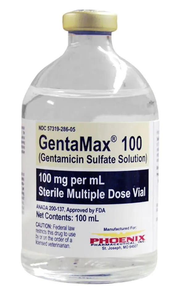 Rx GentaMax (gentamicin sulfate solution) 100 mg/mL Injection for Horses