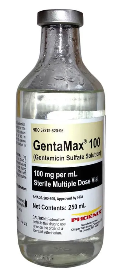 Rx GentaMax (gentamicin sulfate solution) 100 mg/mL Injection for Horses