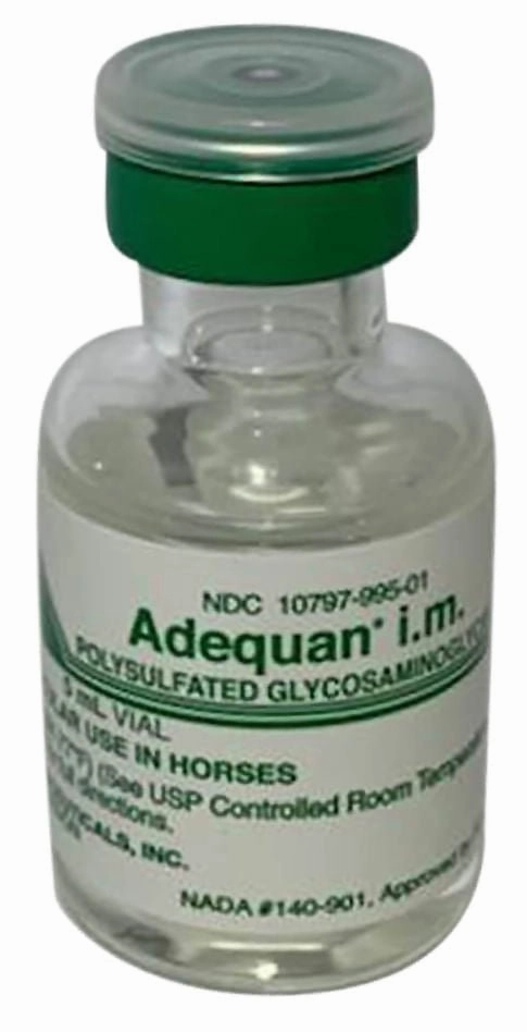 Rx Adequan Equine (polysulfated glycosaminoglycan) 500mg/5ml Injectable for Horses