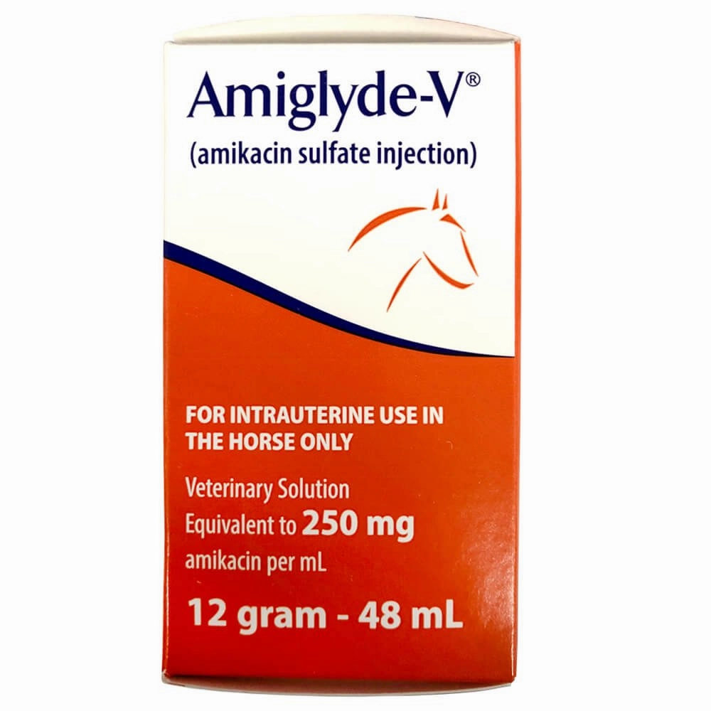 Rx Amiglyde-V (amikacin sulfate) Injection for Horses, 250mg/ml injection x 48ml bottle