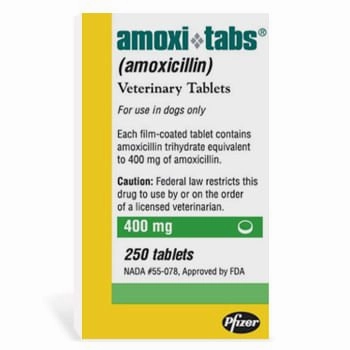Rx Amoxicillin (Generic) Tablets for Dogs & Cats