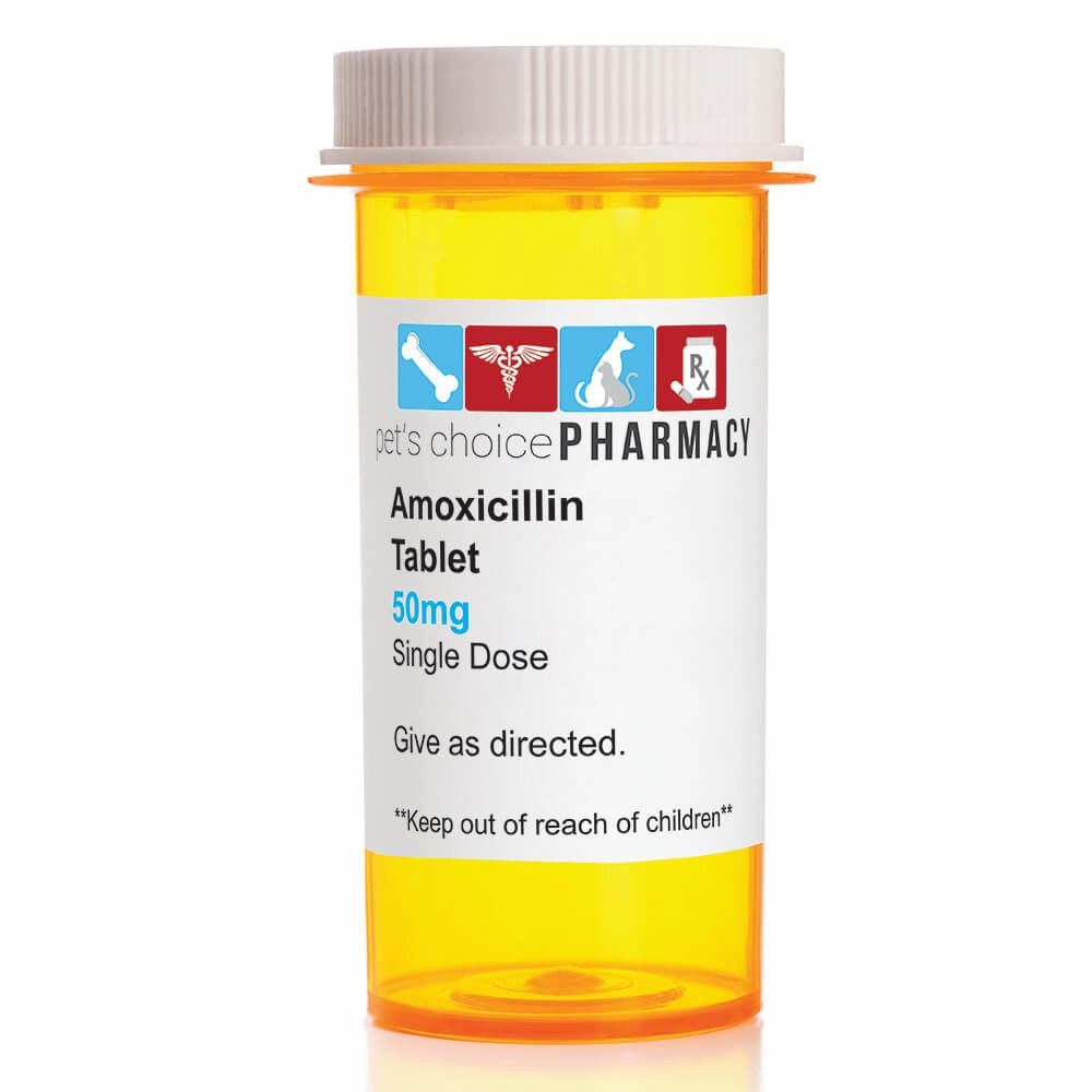 Rx Amoxicillin (Generic) Tablets for Dogs & Cats