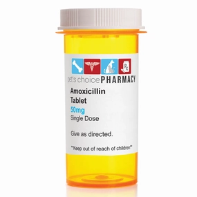 Rx Amoxicillin (Generic) Tablets for Dogs & Cats dog plush squeaky toy interactive plush toy plush rope toy tough plush dog pillow toy