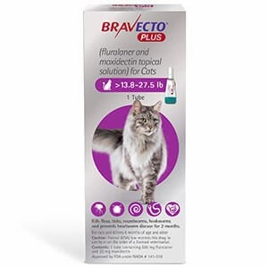Rx BRAVECTO Plus Topical, Cat cat beds cat scratching post cat shampoo cat tunnel cat brush
