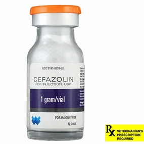 Rx Cefazolin, 1 gm Vial cat climbing tree cat hammock cat steps cat grooming kit cat safety gate