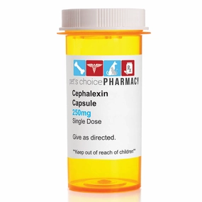 Rx Cephalexin (Generic) Capsules for Dogs & Cats cat beds cat scratching post cat shampoo cat tunnel cat brush