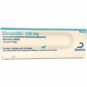 Rx Clavacillin (amoxicillin trihydrate/clavulanate potassium) Tablets for Dogs