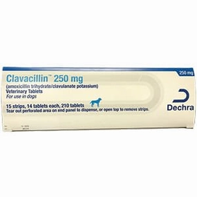 Rx Clavacillin (amoxicillin trihydrate/clavulanate potassium) Tablets for Dogs dog plush squeaky toy interactive plush toy plush rope toy tough plush dog pillow toy