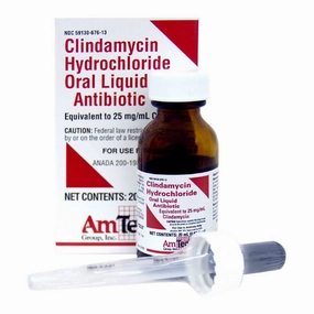 Rx Clindamycin, 25mg/ml Oral Drops x 20 ml bottle dog plush squeaky toy interactive plush toy plush rope toy tough plush dog pillow toy