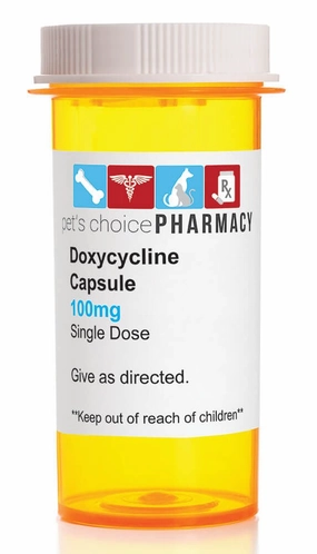 Rx Doxycycline Hyclate (Generic) Capsules cat scratchers cat towers cat window perch cat heating pad cat calming spray