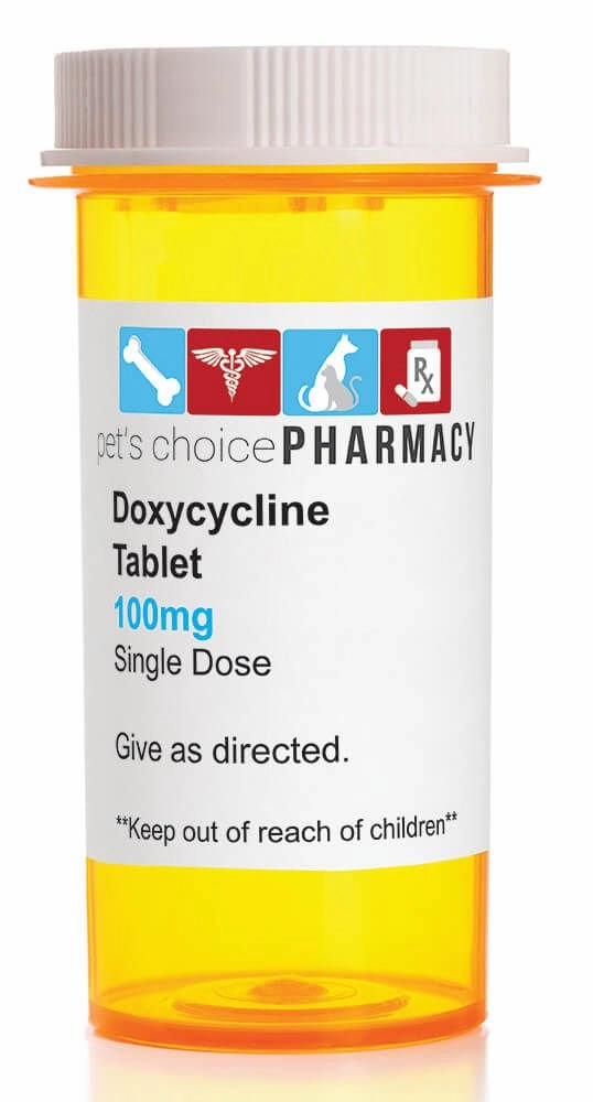 Rx Doxycycline Hyclate (Generic) Tablets cat beds cat scratching post cat shampoo cat tunnel cat brush