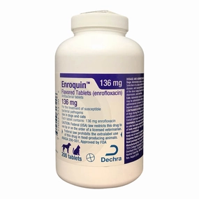 Rx Enroquin (enrofloxacin) Tablets for Dogs and Cats cat scratchers cat towers cat window perch cat heating pad cat calming spray