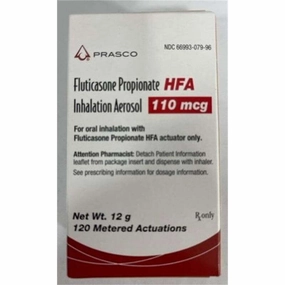 Rx Fluticasone Inhaler, 110mcg x 12gm cat climbing tree cat hammock cat steps cat grooming kit cat safety gate