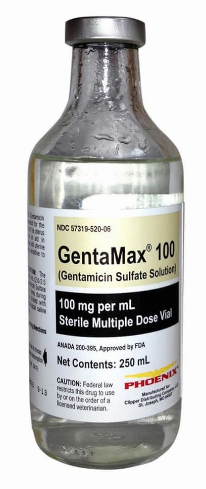 Rx GentaMax (gentamicin sulfate solution) 100 mg/mL Injection for Horses
