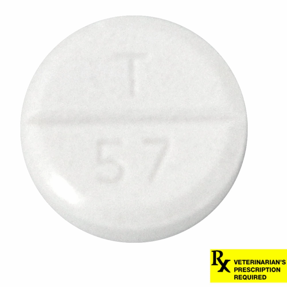 Rx Ketoconazole (Generic) Tablets for Dogs & Cats