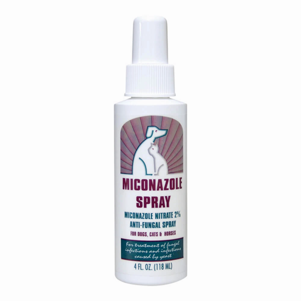 Rx Miconazole (miconazole nitrate 2%) Anti-Fungal Spray, 4 oz Bottle cat scratchers cat towers cat window perch cat heating pad cat calming spray