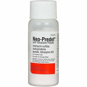 Rx Neo-Predef with Tetracaine Topical Powder for Horses, Dogs, & Cats, 15 gram cat beds cat scratching post cat shampoo cat tunnel cat brush