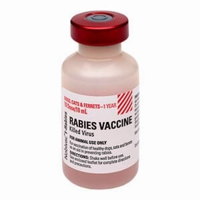 Rx Nobivac 1-Rabies Vaccine for Dogs & Cats, 10 mL Vial, No Tags cat beds cat scratching post cat shampoo cat tunnel cat brush