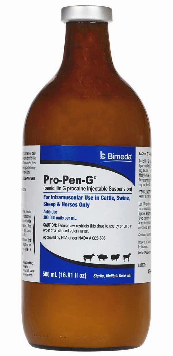 Rx Pro Pen G (penicillin G procaine) Injectable Solution for Cattle, Sheep, Swine, & Horses chicken supplies backyard chicken coop accessories poultry food chicken vitamins